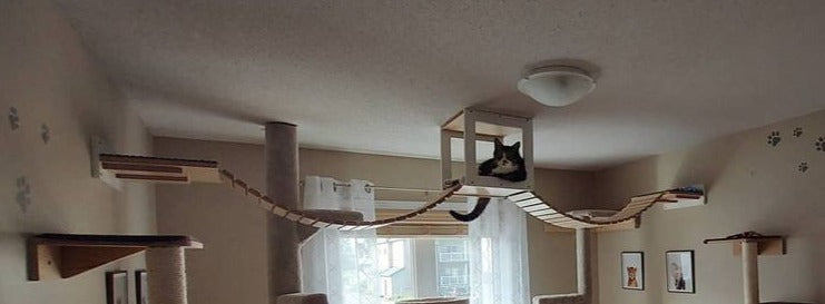 Cat Ceiling Shelf Bridge Bundle - Top Double Bridge Bundle - Scratchy Things Premium Pet Furniture