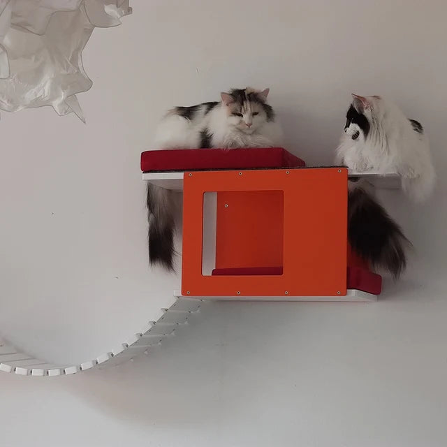 Big Cat Wall Shelf Bed Bundle - Wally BigCat Mini Play Bundle - Scratchy Things Premium Pet Furniture