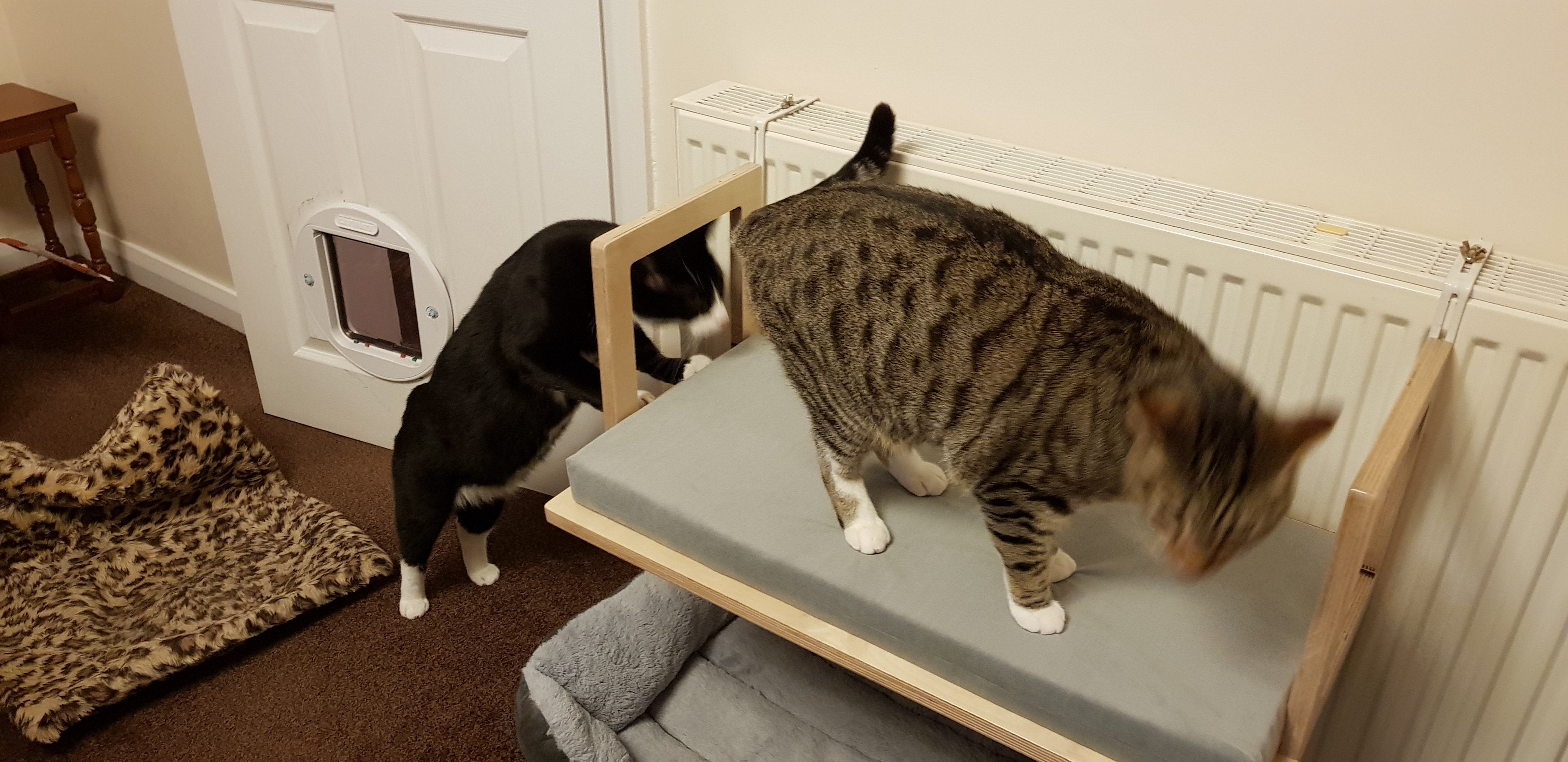 Cat Radiator Bed Hammock - Toasty BigCat Flat - Scratchy Things Premium Pet Furniture