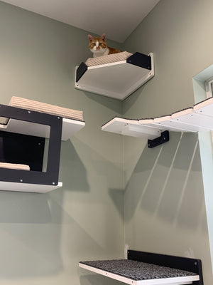 Cat Wall Shelf Bed Corner - Wally Corner Plus - Scratchy Things Premium Pet Furniture