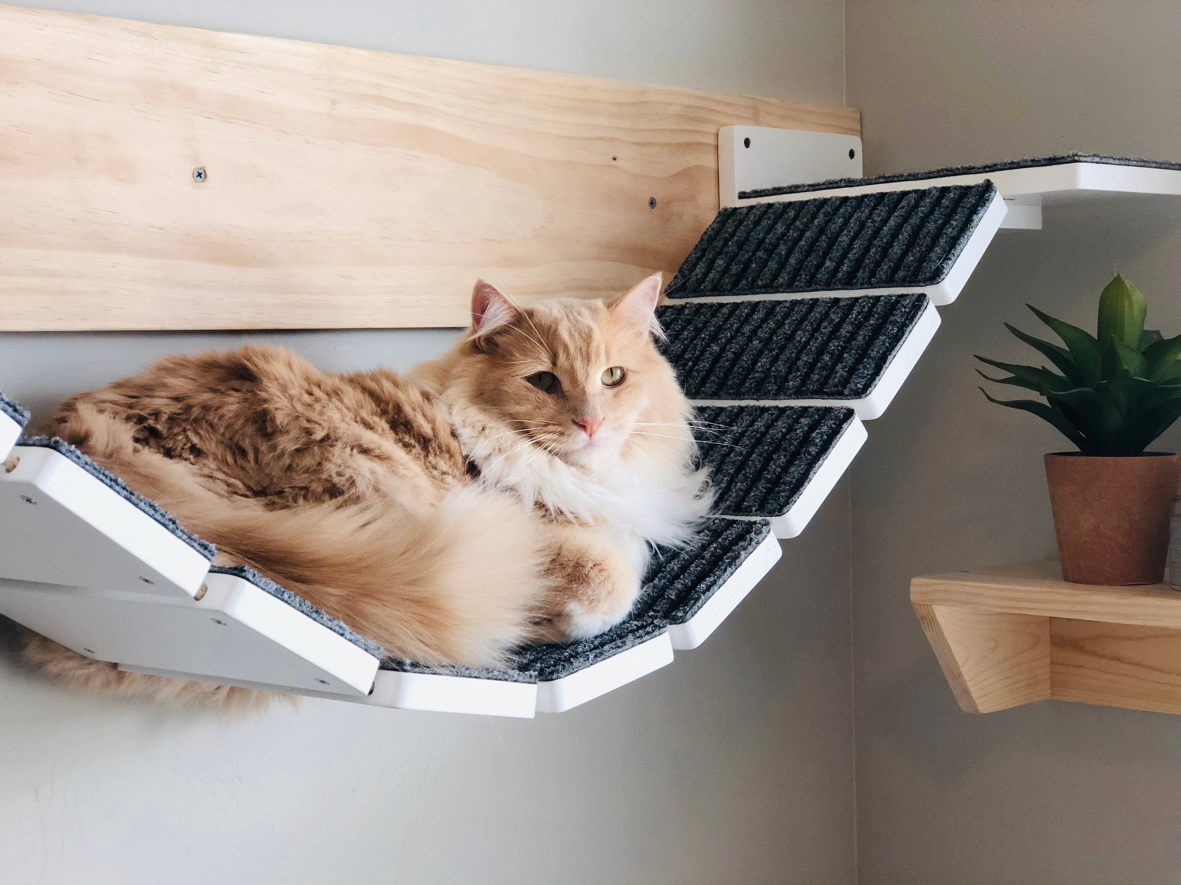 Cat Bridge Shelf Step Wide - Wally WideBridge (Solo - 1Step mount) - Scratchy Things Premium Pet Furniture