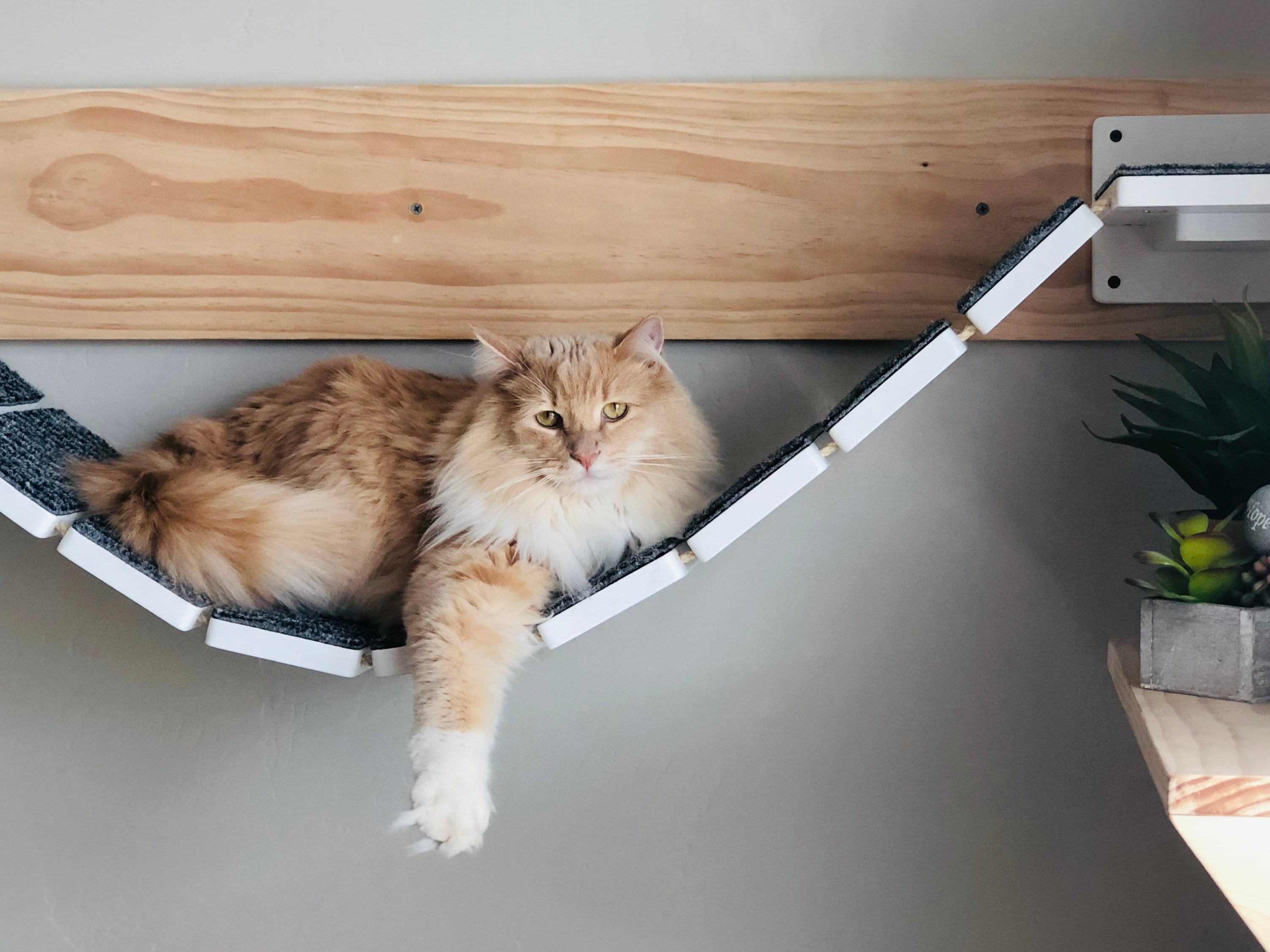 Cat Bridge Shelf Step Wide - Wally WideBridge (1Step - 1Step mount) - Scratchy Things Premium Pet Furniture