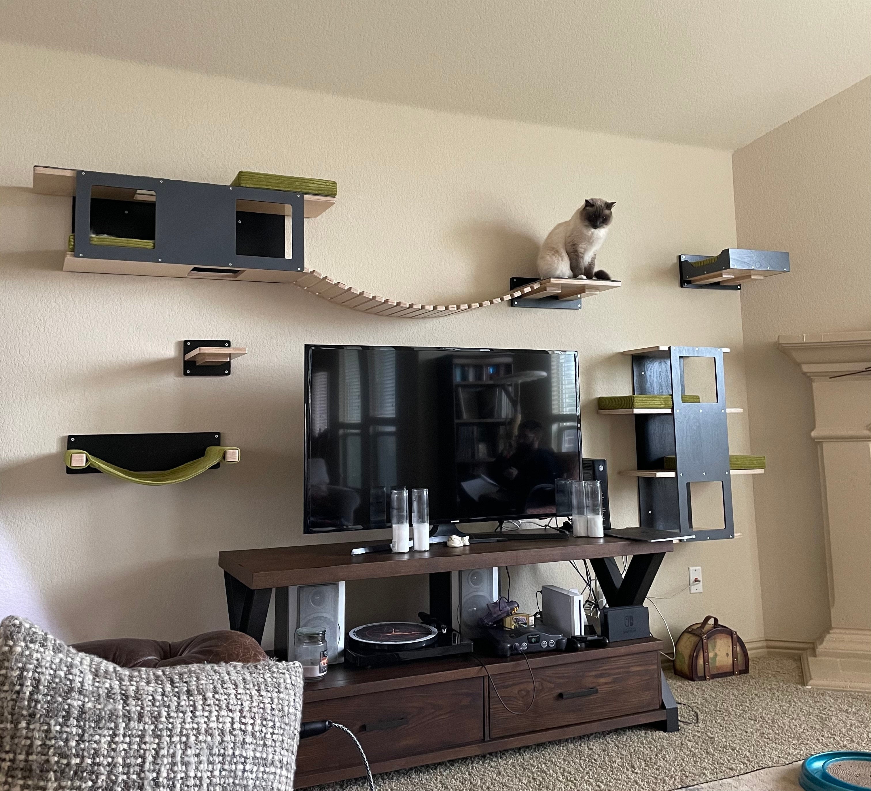 Cat Wall Shelf Bridge Bed Bundle - Orange Bundle - Scratchy Things Premium Pet Furniture