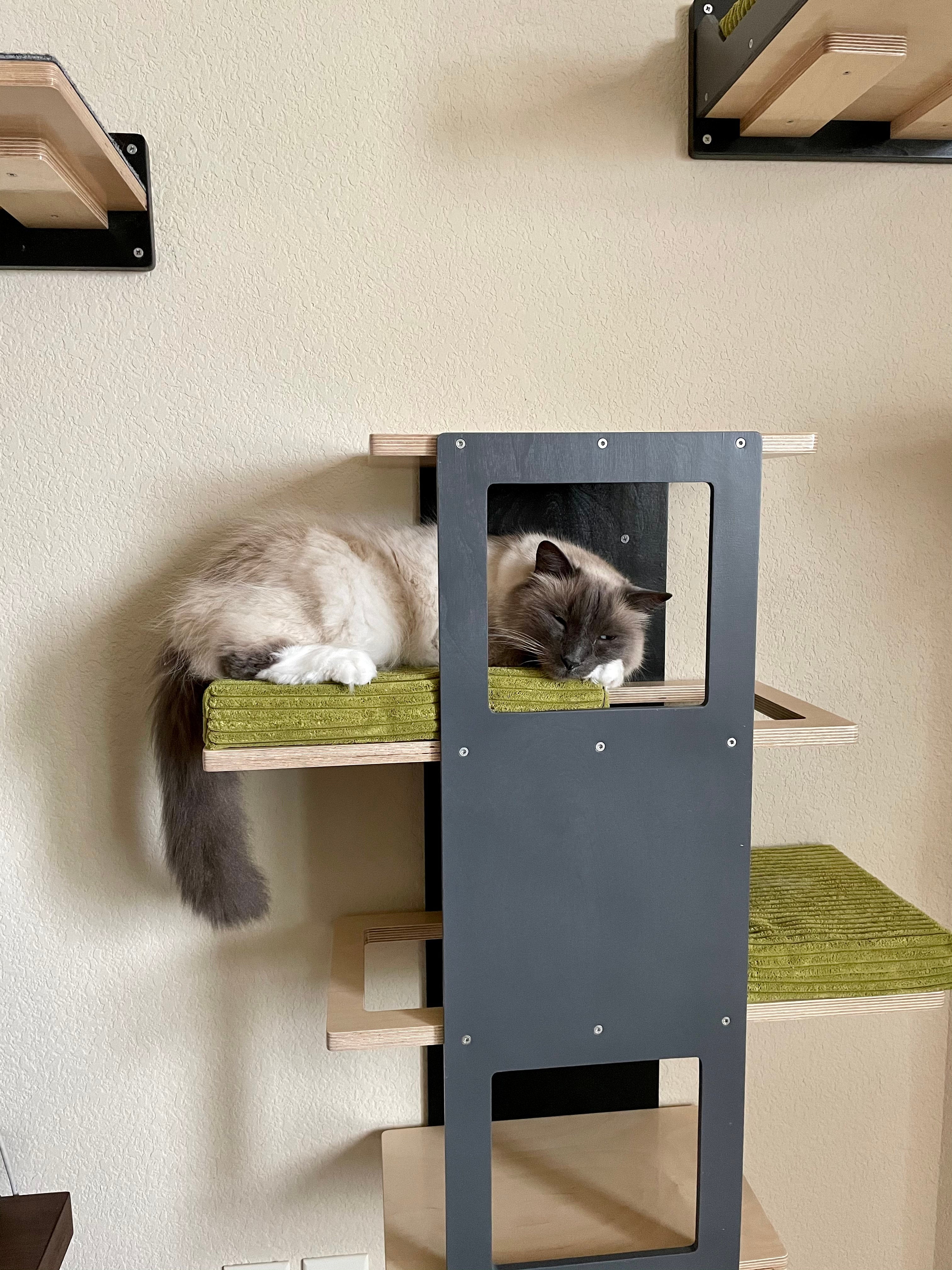 Cat Wall Shelf Bed - Wally Stacker - Scratchy Things Premium Pet Furniture