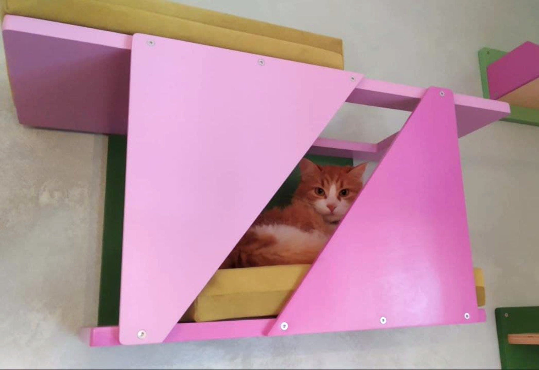 Big Cat Wall Shelf Bed Box - BigCat Sharp Tunnel Mini - Scratchy Things Premium Pet Furniture