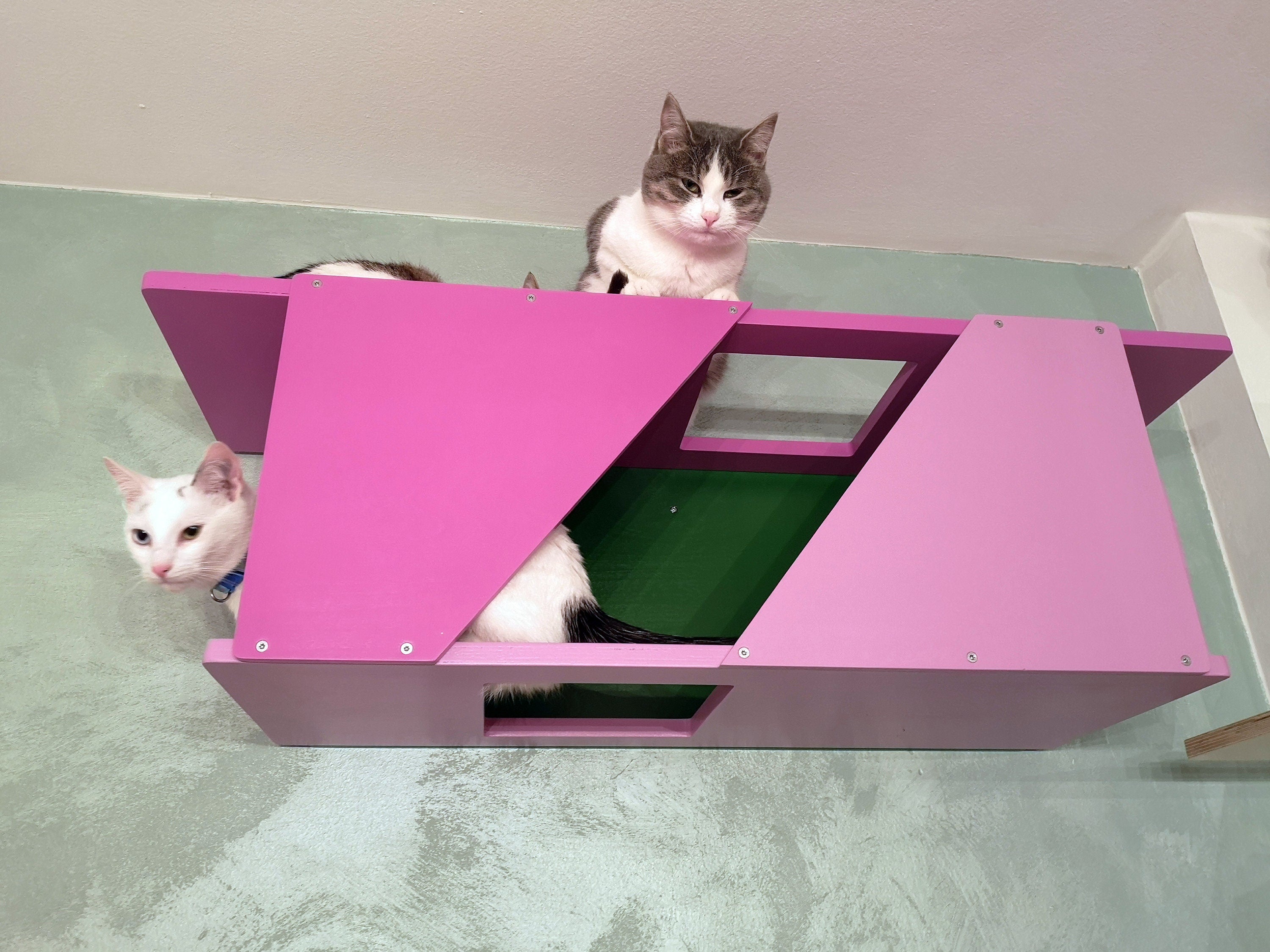 Big Cat Wall Shelf Bed Box - BigCat Sharp Tunnel - Scratchy Things Premium Pet Furniture