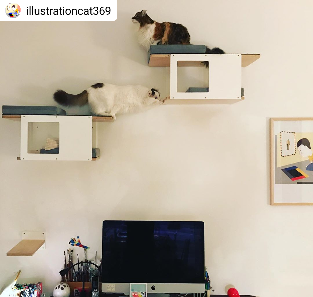 Cat Wall Shelf Bed - Wally Tunnel Mini - Scratchy Things Premium Pet Furniture