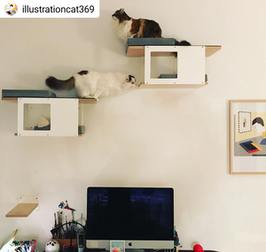 Cat Wall Shelf Bed - Wally Tunnel Mini - Scratchy Things Premium Pet Furniture