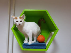 Cat Wall Shelf Hexagonal Bed Bundle - Wally Hex 25 2-pack - Scratchy Things Premium Pet Furniture