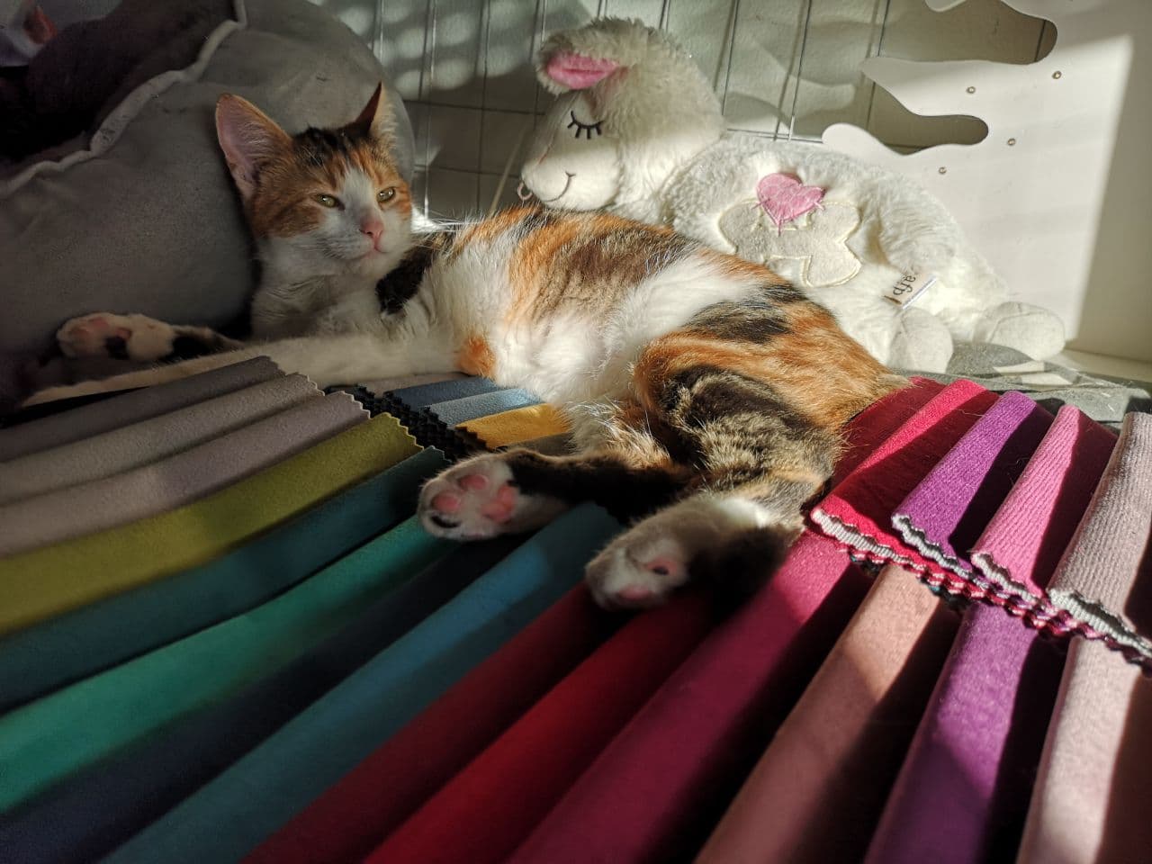 Cat Cushion Hammock Extra Replacement - Replacement extra cushions - Scratchy Things Premium Pet Furniture