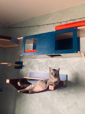 Cat Wall Shelf Bed Hammock - Wally ComboCot - Scratchy Things Premium Pet Furniture