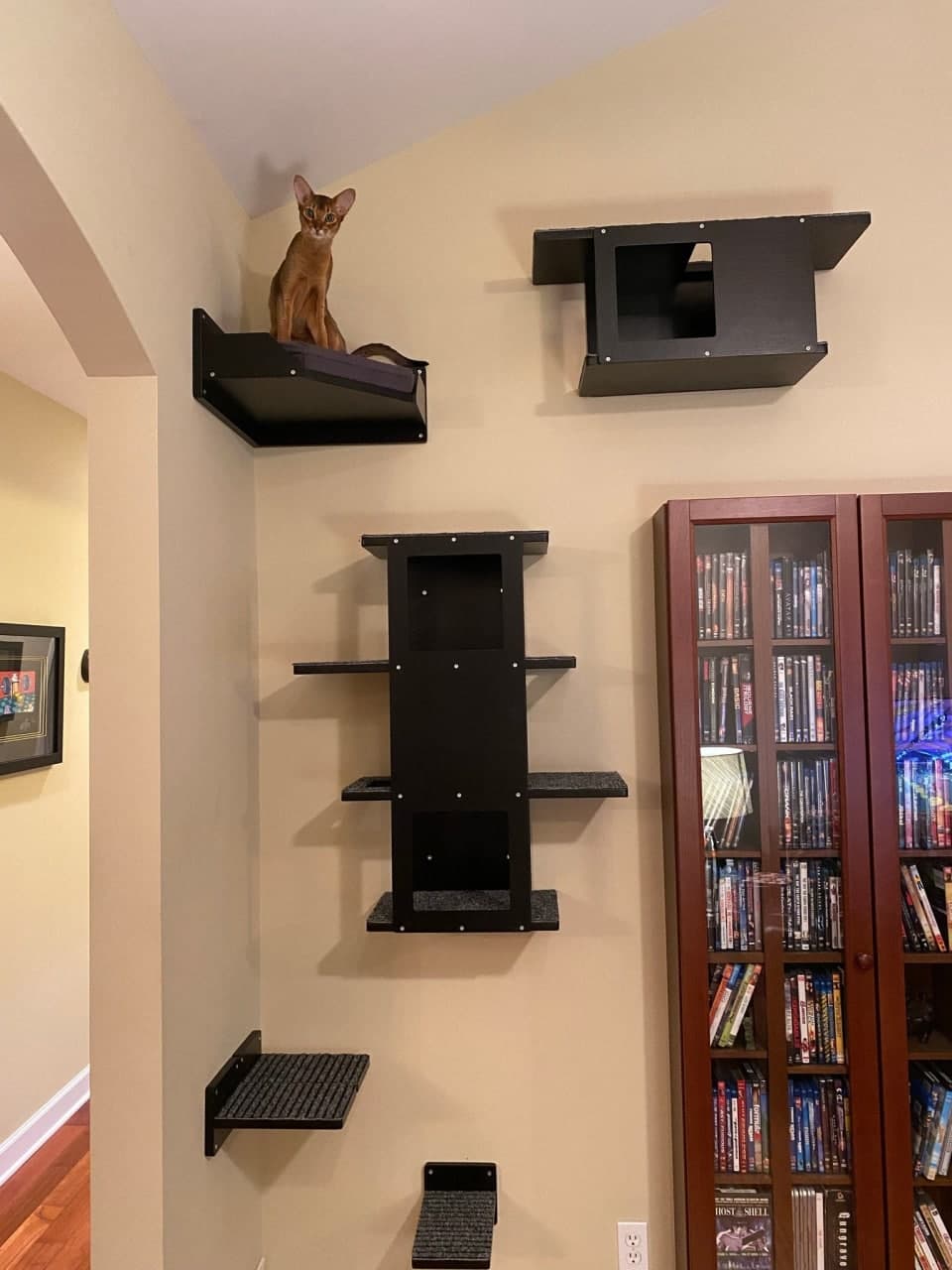 Cat Wall Shelf Bed - Wally Stacker - Scratchy Things Premium Pet Furniture