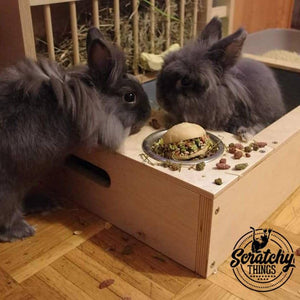 Rabbit Hay Feeder Water Litter box - Nibbler Combo 4in1 - Scratchy Things Premium Pet Furniture