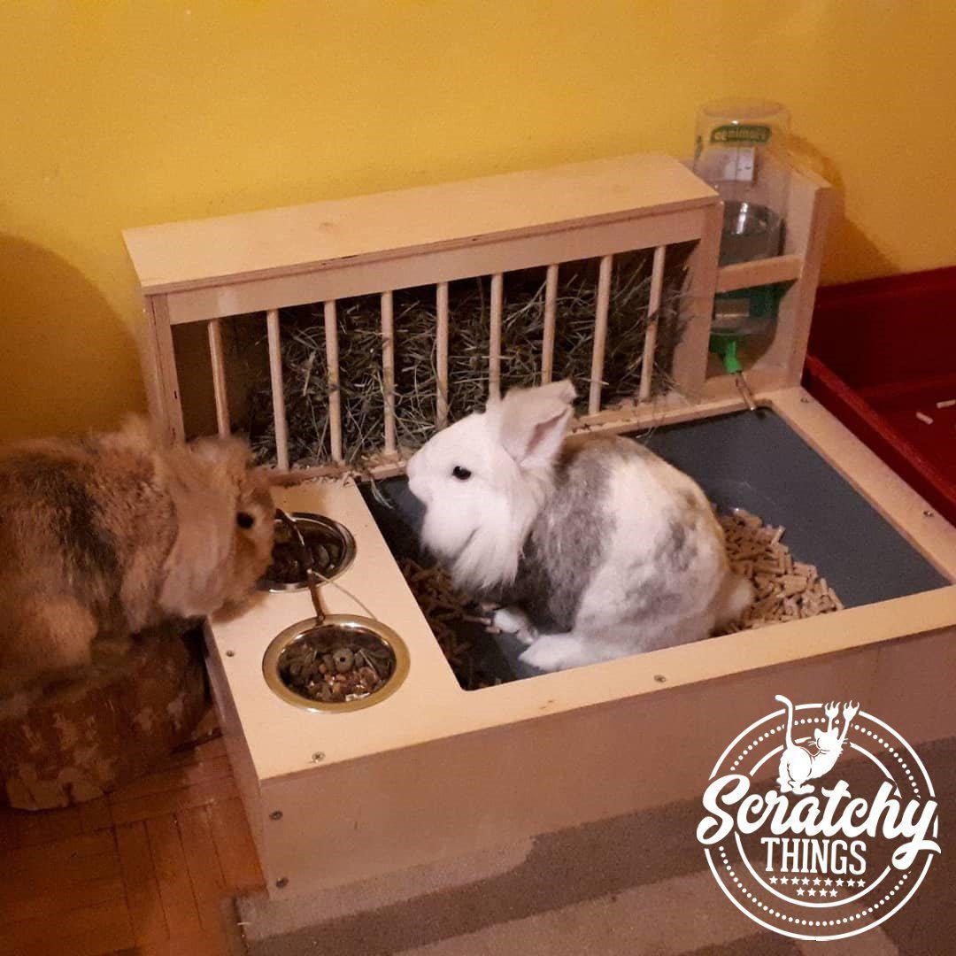 Rabbit Hay Feeder Water Litter box - Nibbler Combo 4in1 - Scratchy Things Premium Pet Furniture