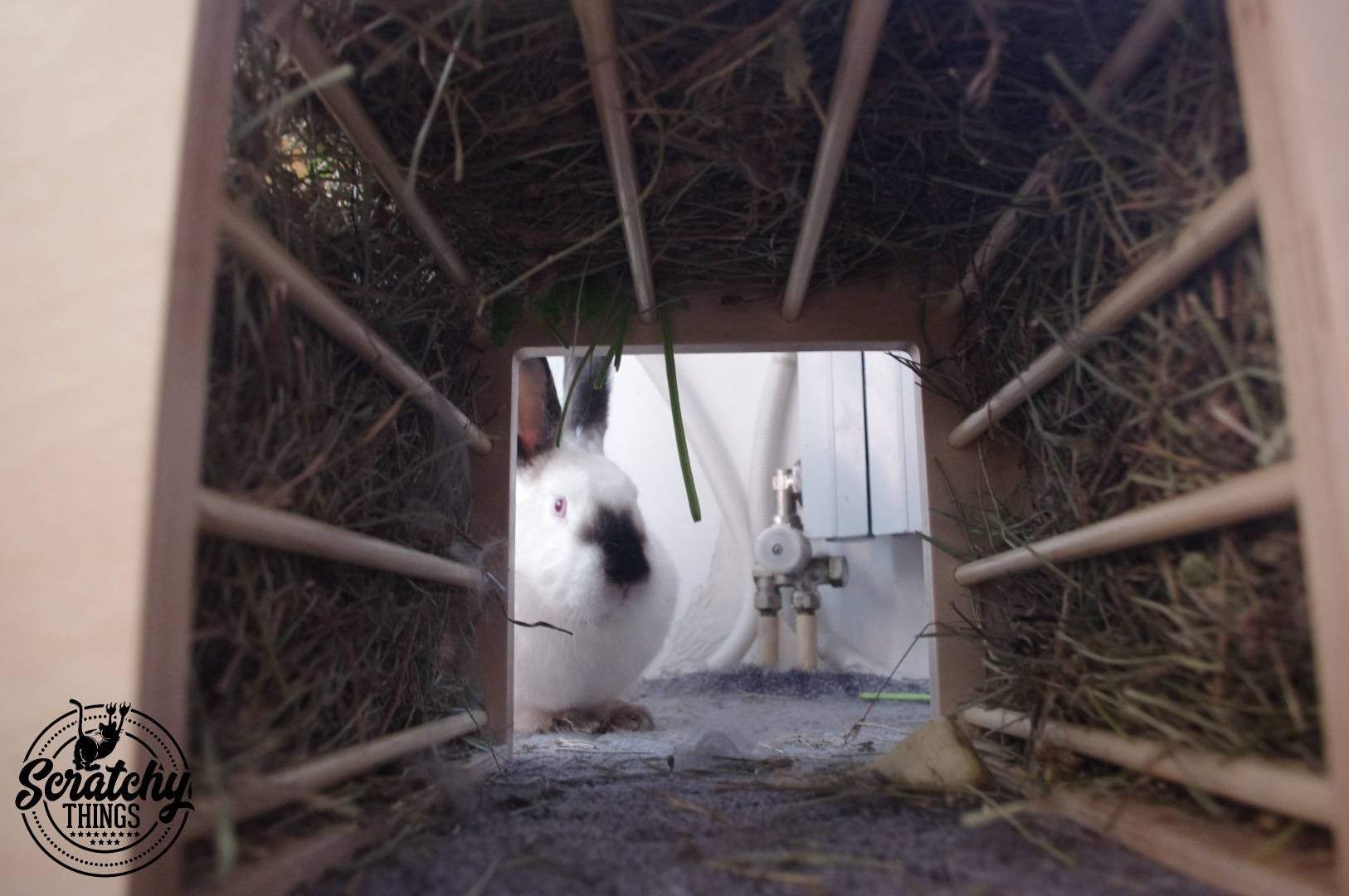Rabbit Hay Rack Feeder Tunnel - Nibbler HayTunnel - Scratchy Things Premium Pet Furniture