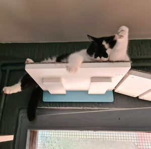 Cat Bridge Shelf Step Wide - Wally WideBridge (1Step - Flat mount) - Scratchy Things Premium Pet Furniture