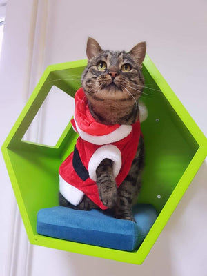 Cat Wall Shelf Hexagonal Bed - Wally Hex 25 - Scratchy Things Premium Pet Furniture