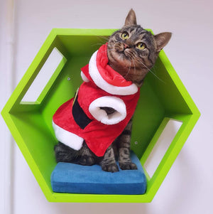 Cat Wall Shelf Hexagonal Bed Bundle - Wally Hex 25 2-pack - Scratchy Things Premium Pet Furniture