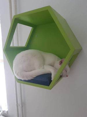 Cat Wall Shelf Hexagonal Bed Bundle - Wally Hex 25 2-pack - Scratchy Things Premium Pet Furniture