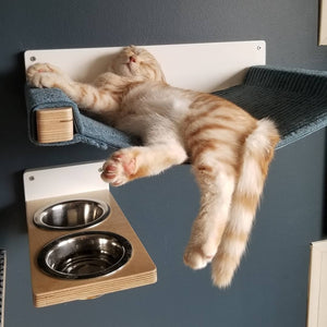 Cat Wall Shelf Feeder Step - Wally Step Feeder - Scratchy Things Premium Pet Furniture